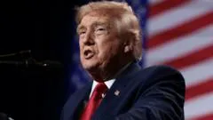 Trump's United Ireland Comment During Ireland Visit Raises Policy and Election Questions
