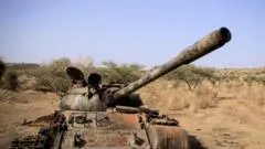 Ethiopian rebel alliance: Seven groups form 'Alliance for Survival'