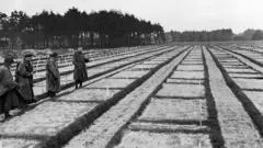 Nazi PoW camp investigation: 105-year-old suspect in Germany